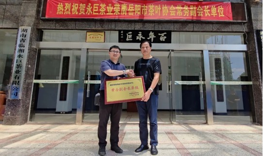 永巨，又升級(jí)了！